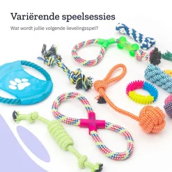 All 4 Pets Supply Honden Speelgoed set