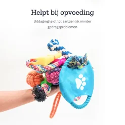 All 4 Pets Supply Honden Speelgoed set