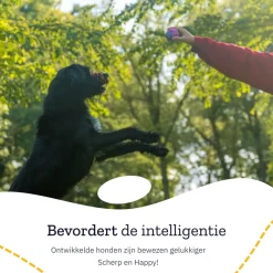 All 4 Pets Supply Honden Speelgoed set