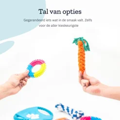 All 4 Pets Supply Honden Speelgoed set
