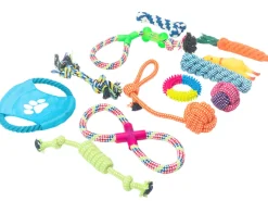 All 4 Pets Supply Honden Speelgoed set