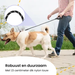 All 4 Pets Supply reflecterende hondenriem - 1,5 meter