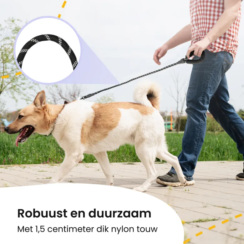 All 4 Pets Supply reflecterende hondenriem - 1,5 meter