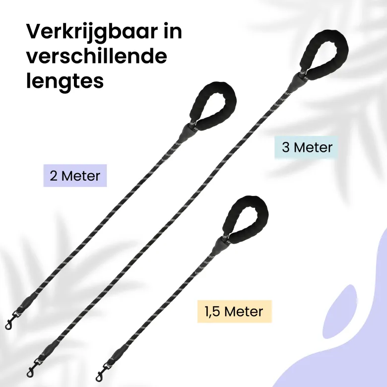 All 4 Pets Supply reflecterende hondenriem - 1,5 meter