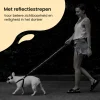 All 4 Pets Supply reflecterende hondenriem - 2 meter