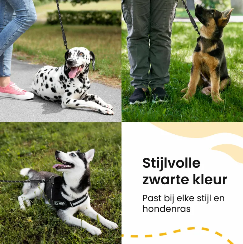 All 4 Pets Supply reflecterende hondenriem - 3 Meter