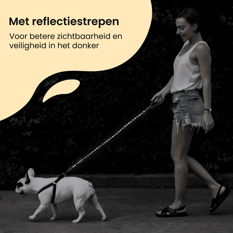 All 4 Pets Supply reflecterende hondenriem - 3 Meter