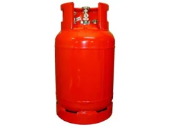 Badé rechte aansluiting staande LPG tank - 36 liter