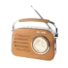 Blow Portable FM Bluetooth Radio