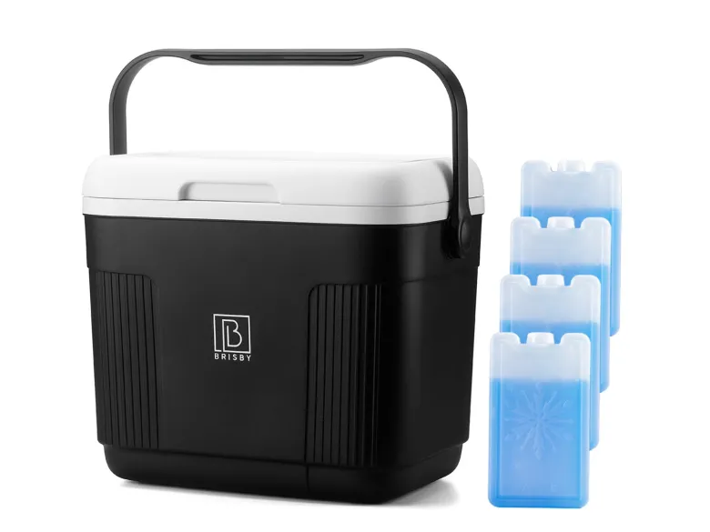 Brisby 22 liter koelbox - Black