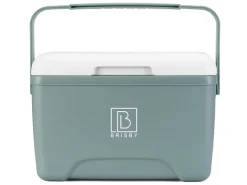 Brisby 8 liter koelbox met 2 koelelementen - Green