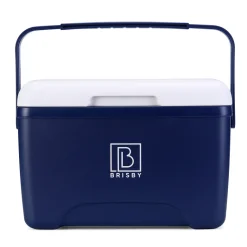 Brisby 8 liter koelbox met 2 koelelementen - Blue