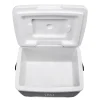 Brisby 8 liter koelbox met 2 koelelementen - Black