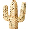 Cactus decoratie