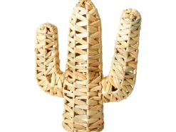 Cactus decoratie