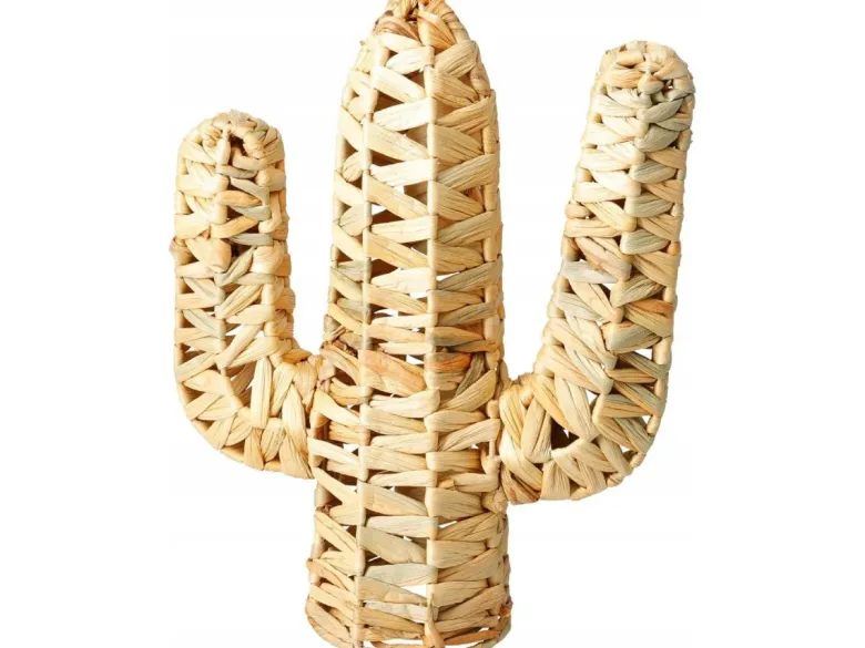 Cactus decoratie
