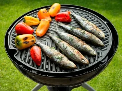 Cadac Grillo Chef 40 Combo gasbarbecue