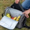 Campingaz 17 liter The Office koeltas