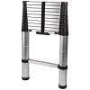 Carbest telescopische ladder