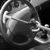 Carpoint Elephant Stuurslot