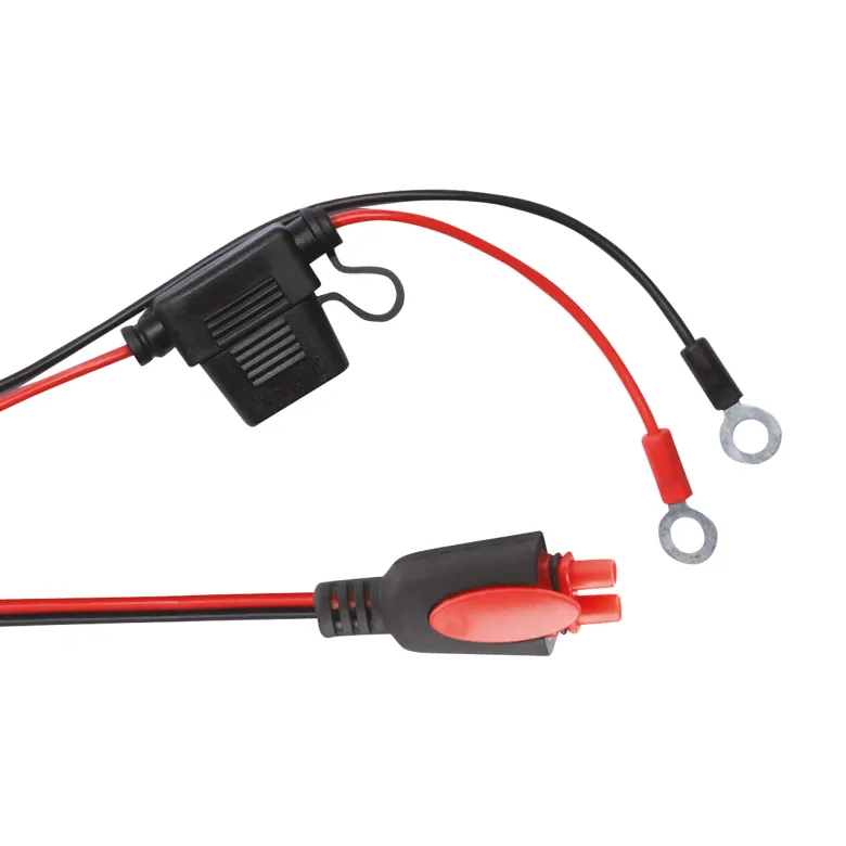 Carpoint Intelligent acculader - 3,5A