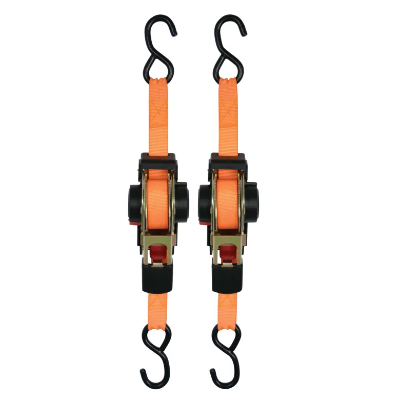 Carpoint 3 meter automatische Spanband - Set van 2