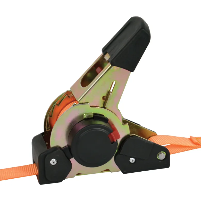 Carpoint 3 meter automatische Spanband - Set van 2