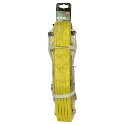 Carpoint 50mm spanband met ratel-haken - 9 meter