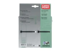 Carpoint Spanband met ratel en haken - 5 meter
