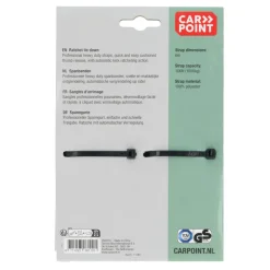 Carpoint Spanband met ratel - 6 meter