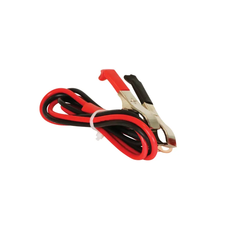 Carpoint 300 watt omvormer met accuklemmen