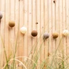 Cotton Ball Lights Outdoor starter kit lichtslinger - Caramelo