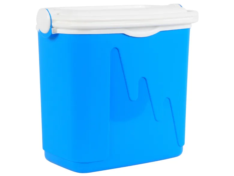 Curver M 22 liter koelbox