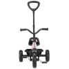 Deryan Drifter Driewieler met duwstang - Pink