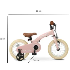 Deryan 12 inch Luxe 3-in-1 kinderfiets - Pink