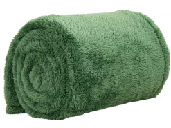 DoubleDry Teddy 130 x 170 cm plaid - Green
