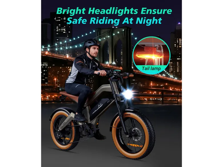 DYU M20 18.2Ah Elektrische fiets - Black