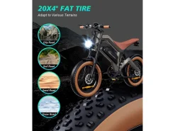 DYU M20 18.2Ah Elektrische fiets - Black