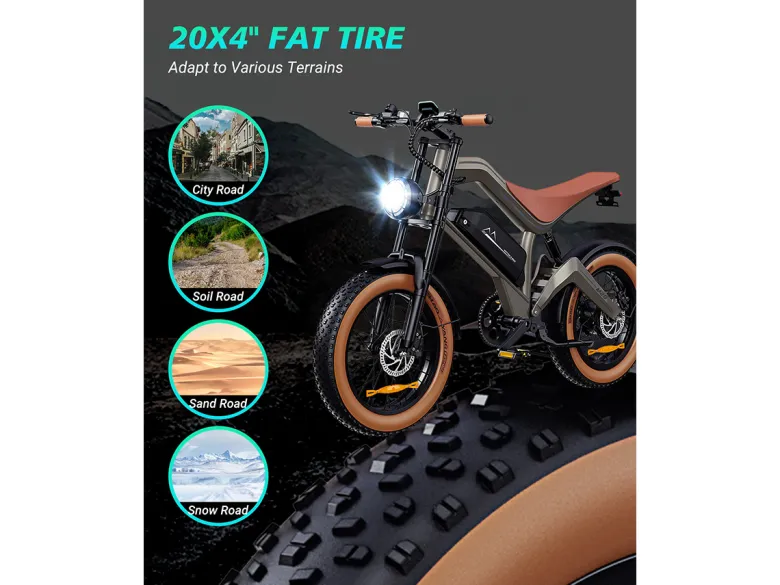 DYU M20 18.2Ah Elektrische fiets - Black