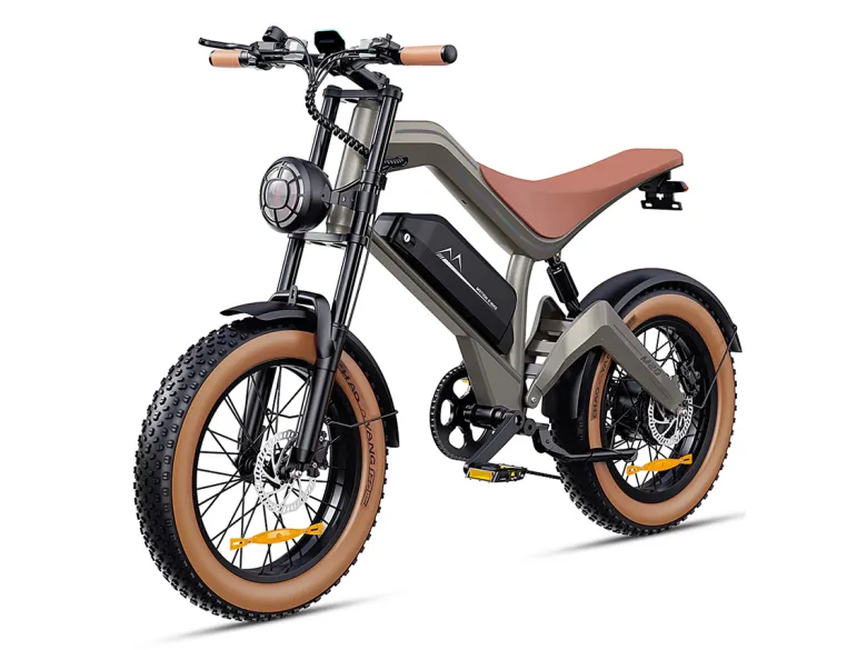 DYU M20 18.2Ah Elektrische fiets - Black