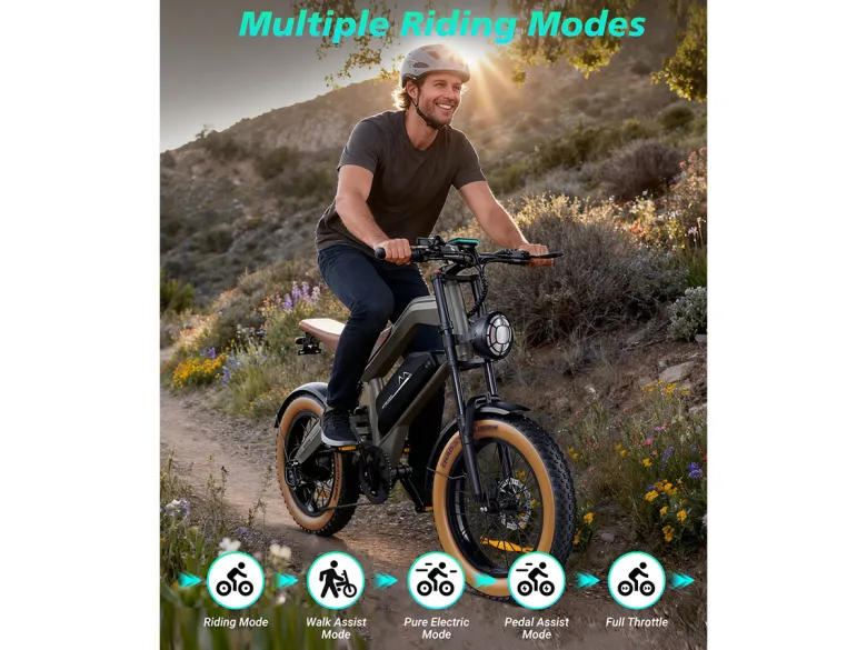 DYU M20 18.2Ah Elektrische fiets - Black