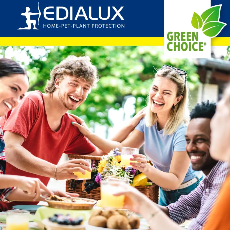 Edialux Ultra-efficiënte vliegenval
