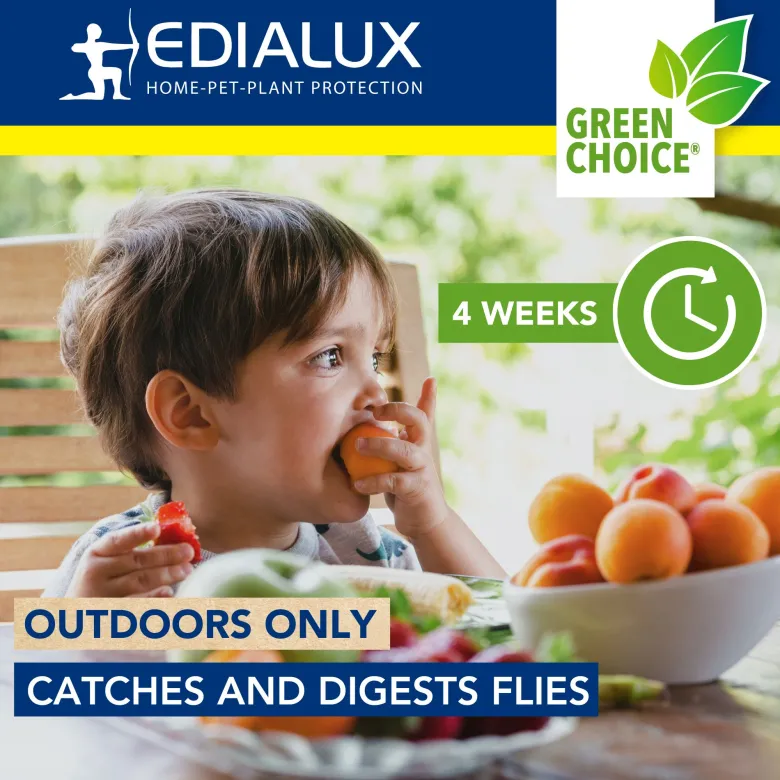 Edialux Ultra-efficiënte vliegenval