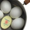 Egg timer