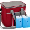 Eurocatch 27 liter koeltas met 2 Coolpacks