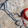 EveBase hondenriem met 4 meter kabel