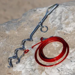 EveBase hondenriem met 4 meter kabel