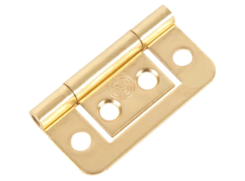 Fjord metalen kleine vlakke scharnieren (2x stuks) - gold