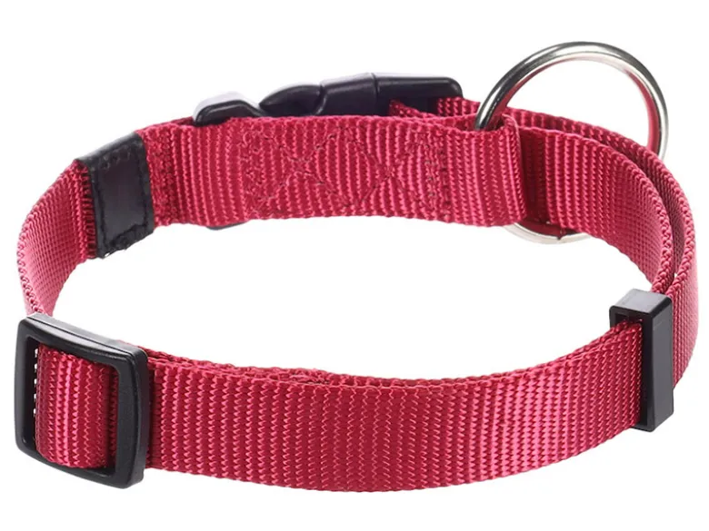 Flamingo Ziggi Cherry Red halsband - XS