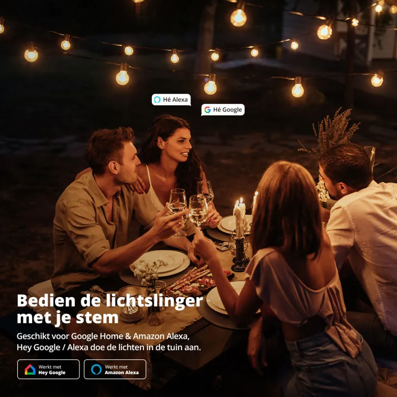 FlinQ Slimme Premium lichtslinger - 15 meter